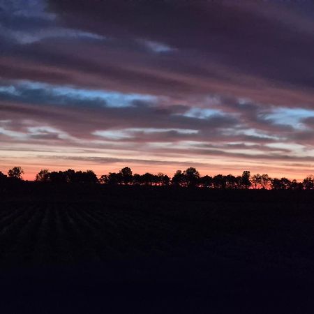 Vila Vrijstaande Ruime Familiewoning Landelijk Gelegen Lewedorp Exteriér fotografie