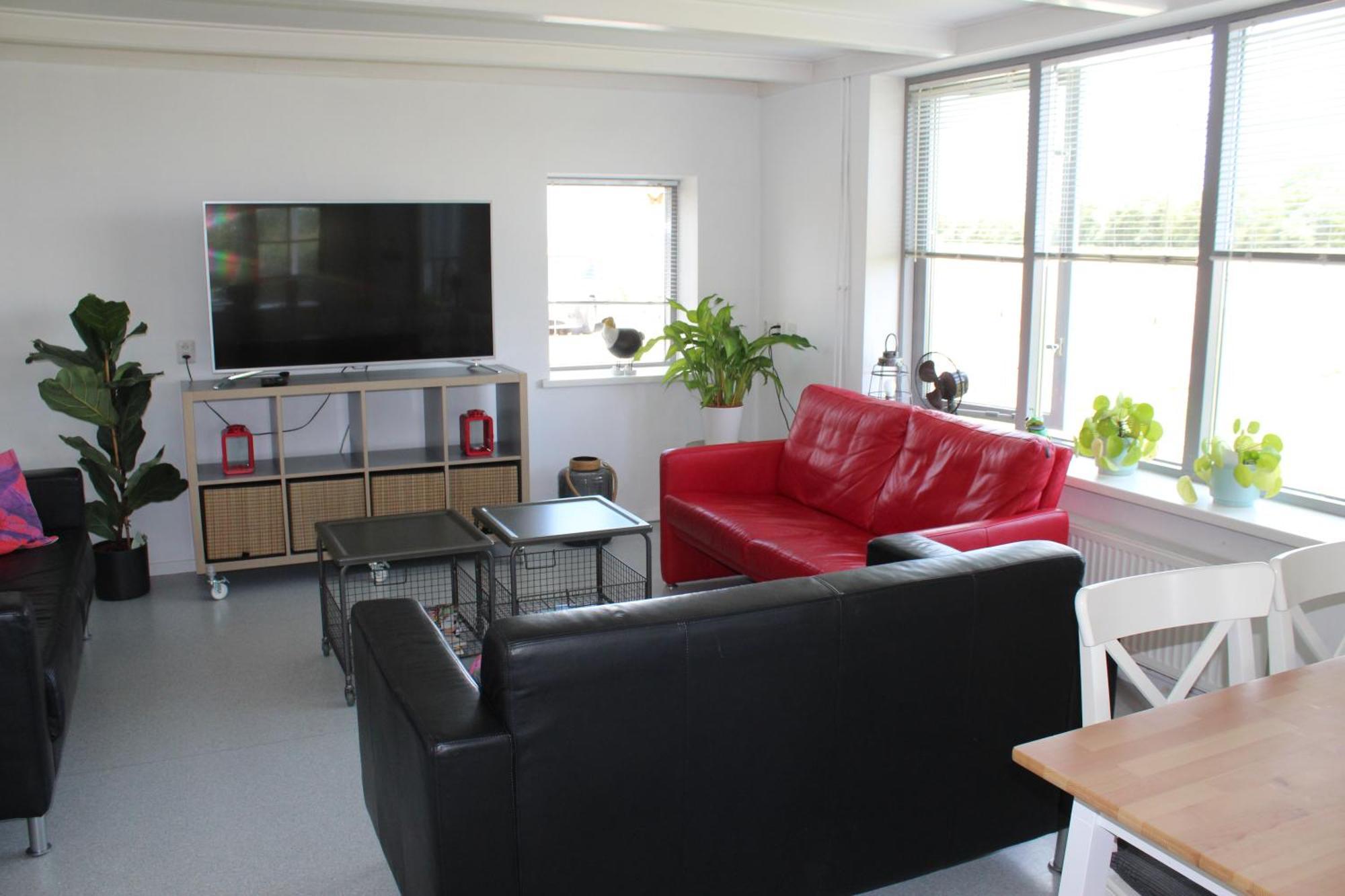 Vila Vrijstaande Ruime Familiewoning Landelijk Gelegen Lewedorp Exteriér fotografie