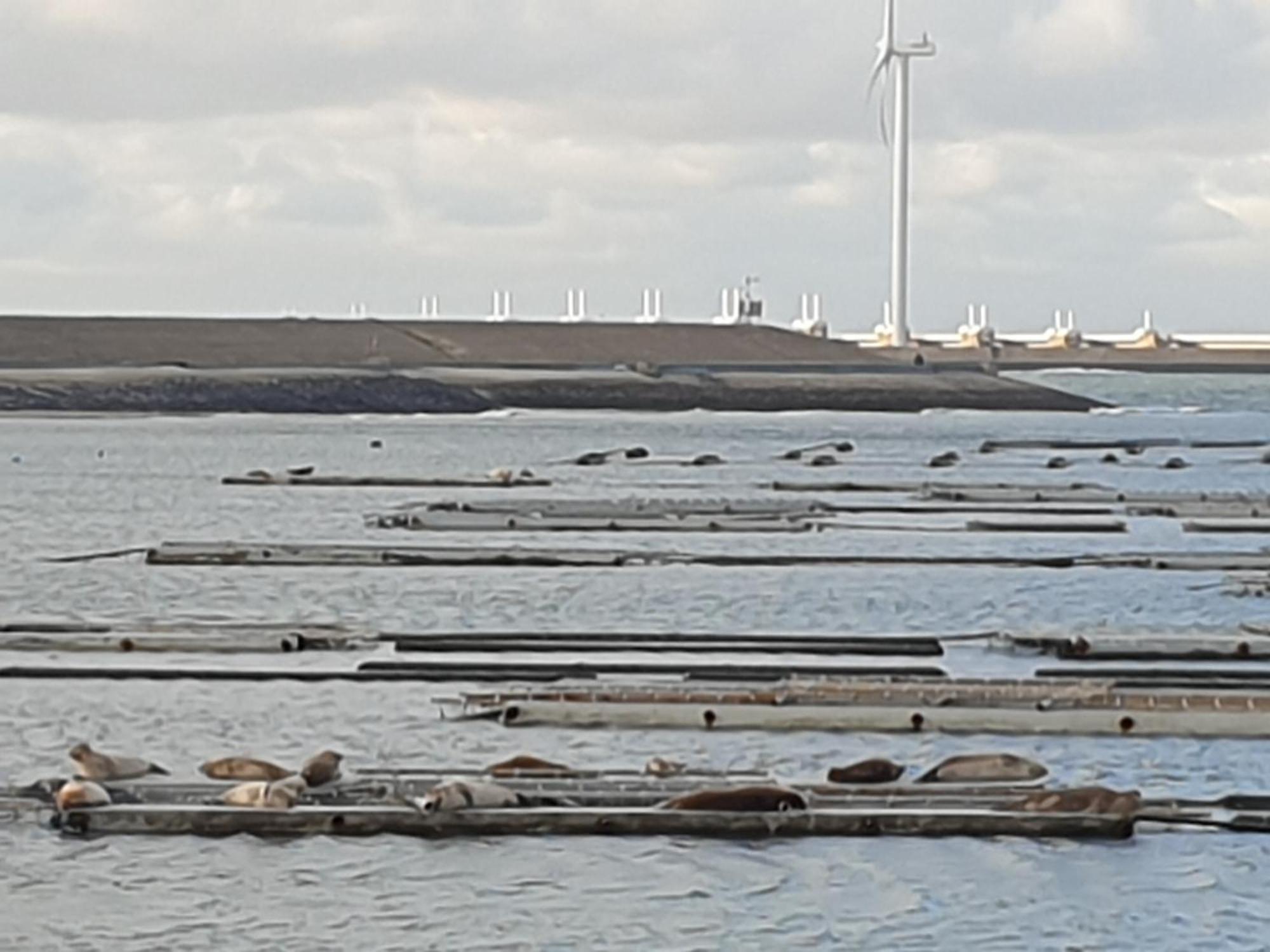 Vila Vrijstaande Ruime Familiewoning Landelijk Gelegen Lewedorp Exteriér fotografie